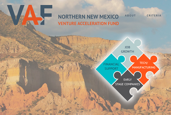 Venture Acceleration Fund