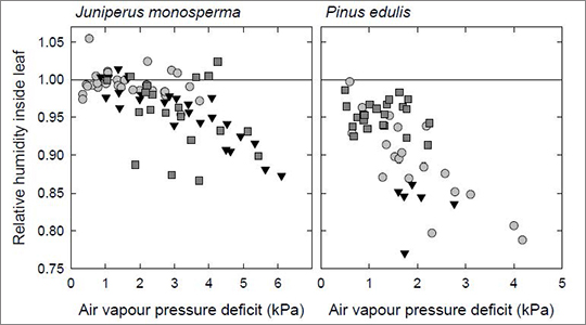 Figure. Relative humidity in leaf intercellular air spaces of juniper and piñon pine semiarid conifer species as a function of vapor pressure deficit. Relative humidity of one indicates saturation, denoted by horizontal line. 